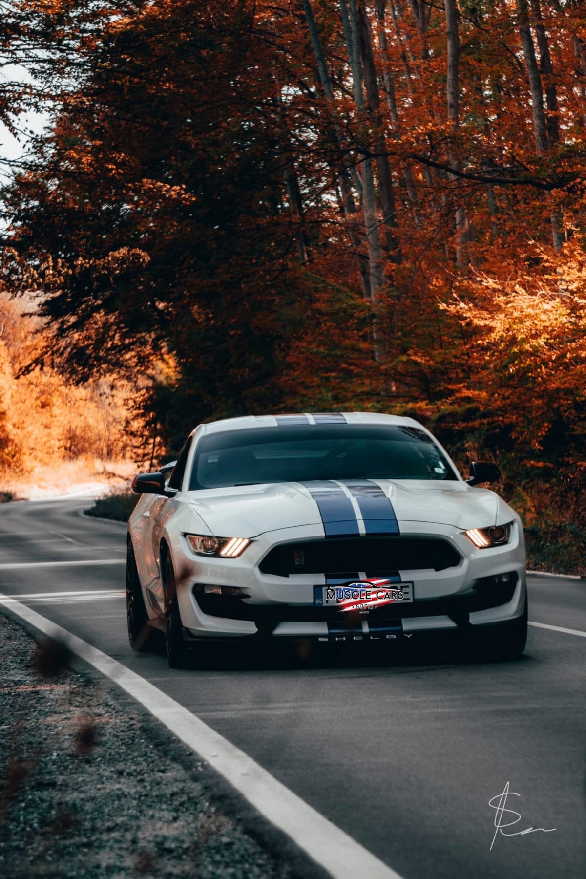Ford Mustang Shelby GT350