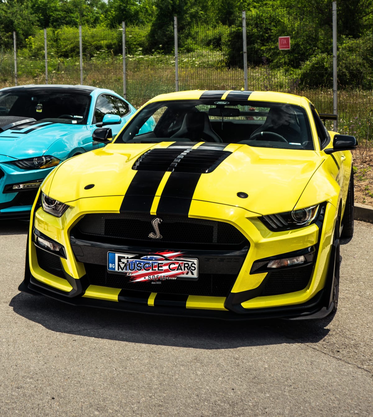 Ford Mustang Shelby GT500